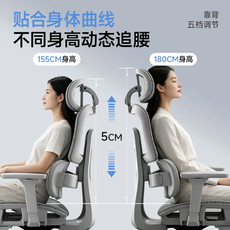Ergonomic Office Chair with Lu - Home Office Ergonomics 评论和价格