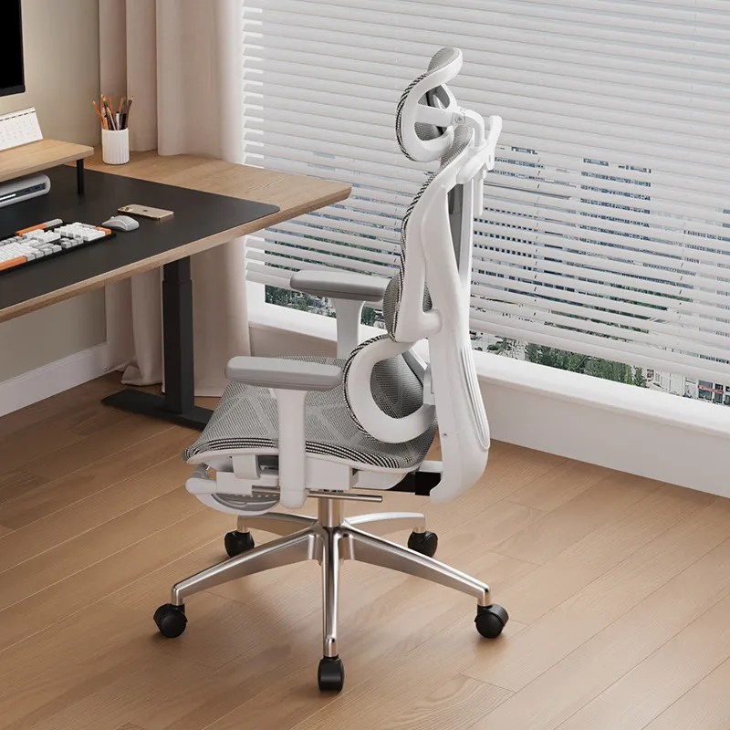 Ergonomic Computer Chair E-spo - Home Office Ergonomics 评论和价格