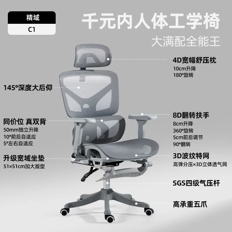 Ergonomic Office Chair with Lu - Home Office Ergonomics 评论和价格