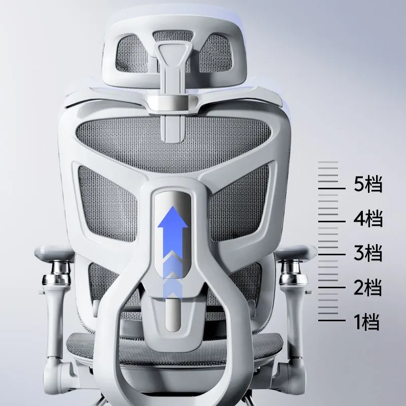 Ergonomic Computer Chair with  - Home Office Ergonomics 评论和价格