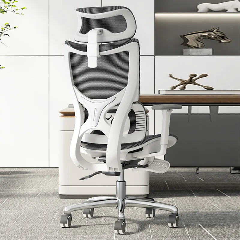 Ergonomic Computer Office Chai - Home Office Ergonomics 评论和价格