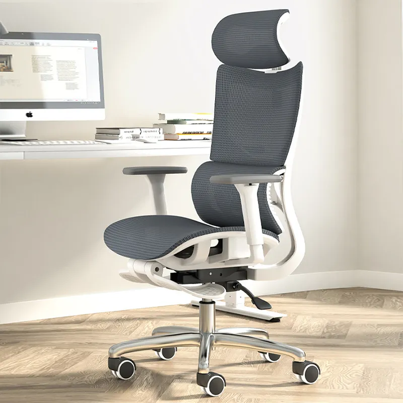 Ergonomic Computer Office Chai - Home Office Ergonomics 评论和价格