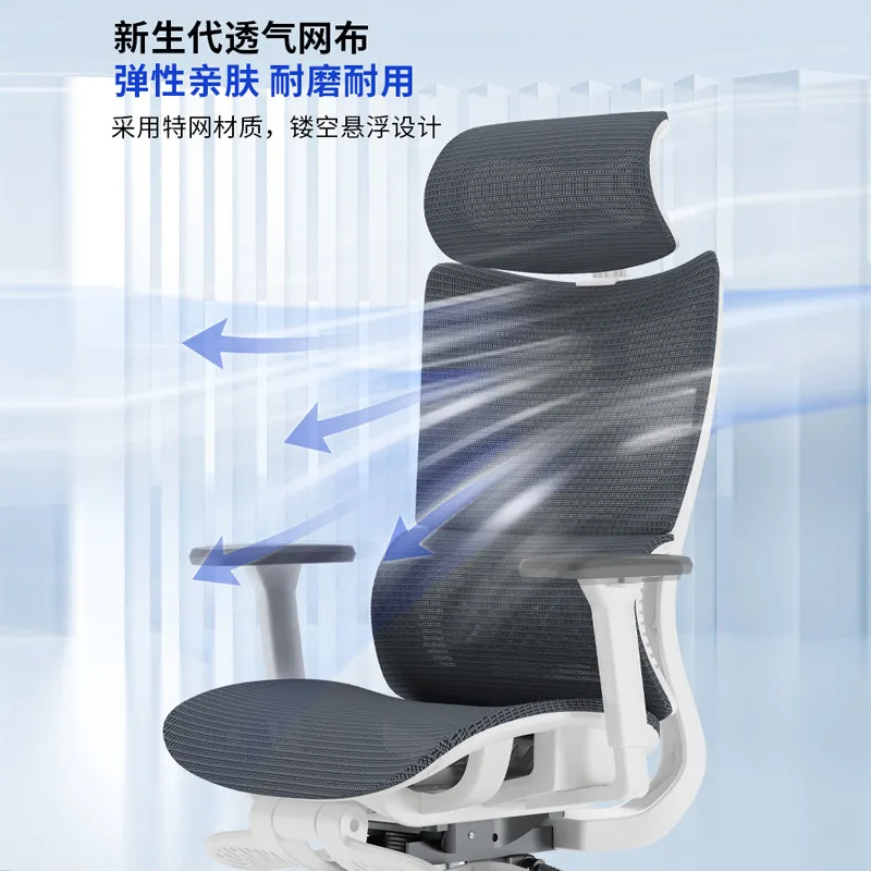 Ergonomic Computer Office Chai - Home Office Ergonomics 评论和价格